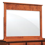 Shenandoah Mule Chest Mirror - Express